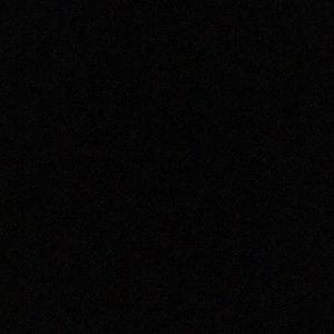 Meet your Posher, Lexie